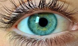 علماء يزعمون اكتشاف "لون جديد" لم يره أحد من قبل